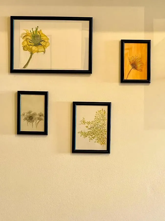 Il Petalo Giallo 베로나